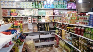 خدمات ایمنی آتش مهار گیلان