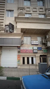 دکتر نجمه سادات میری 3