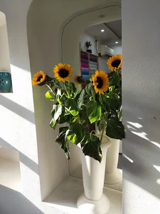 گلسرای پالیزار