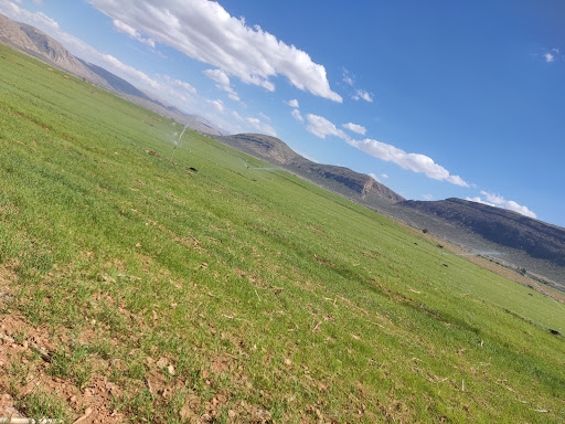 مزرعه اکبر محمدی