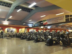 Meshkat Complex