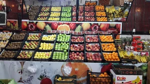 میوه سرای صباحی