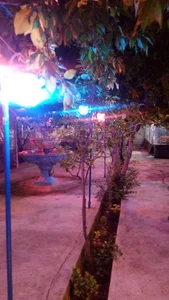باغ رستوران زیتون
