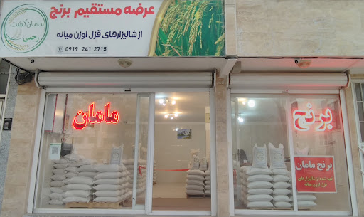 برنج مامان کشت رجبی