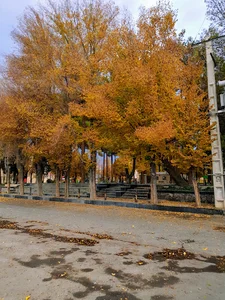پارک باغ کودک .آباده شهر جهانی منبت