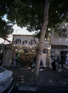 گل در گل 2