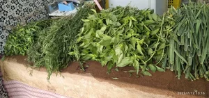 سبزی فروشی رحیمی 2