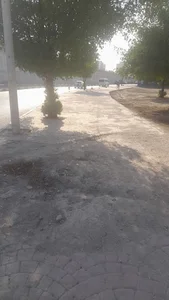 تعویض روغن رضا