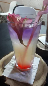 کافه کتاب شنایا 2