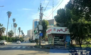 گل فروشی 2