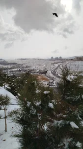 میدان بهارستان