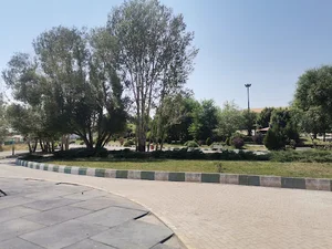 پارک