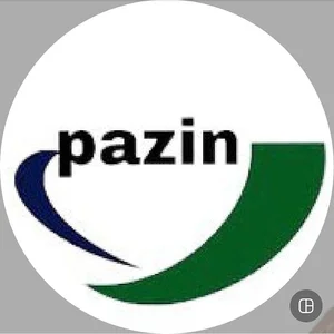 کفش پازین