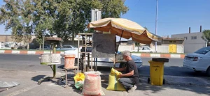 تخمه دکتر اتکر