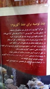 ماهی و آکواریوم