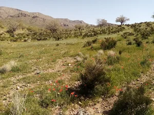 چشمه برروز