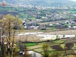 ستاد شبکه بهداشت