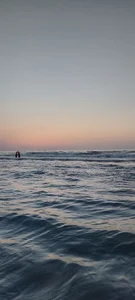 کافی شاپ قوری