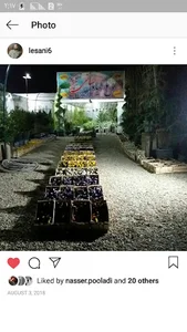 گل و گیاه لسانی