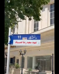 دانشگاه 11