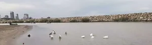 ساحل نوفل لوشاتو نوشهر