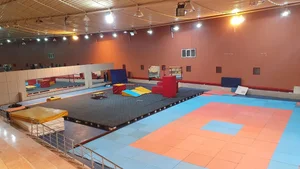 باشگاه ژیمناستیک شرق 2