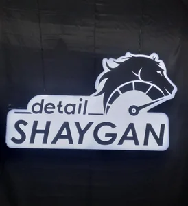شایگان دیتیل 4
