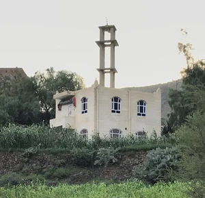 مسجد العدن