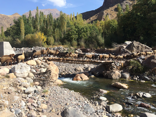 Alamut Voyage