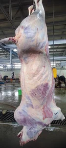 سوپر گوشت طاهریان