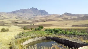 کوه پنجه علی