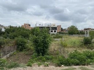 کافه دخانیات لیپی
