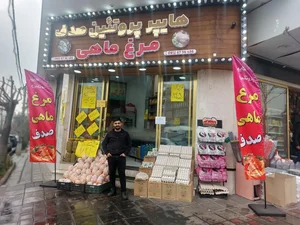 هایپر پروتئین صدف