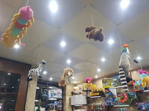 Blue shop