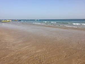 کلوپ غواصی دلفین آبی