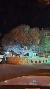 درخت تاریخی نعل بند (نارون)