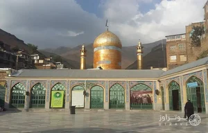 دکتر عباس تقویه