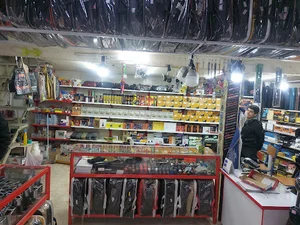 تزیینات رضا