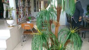 رستوران مهدیه