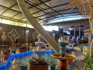 کافه شناتور