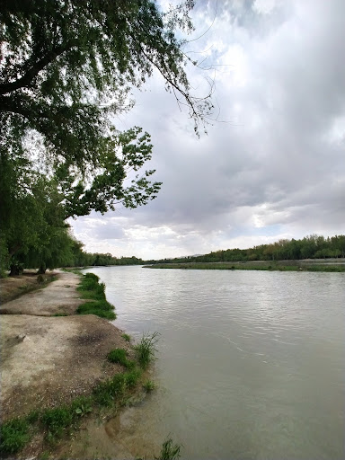 پارک جزیره