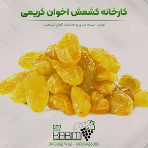 کارخانه کشمش کریمی - کشمش ملایر
