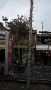 گیاهان دارویی عرفان 2