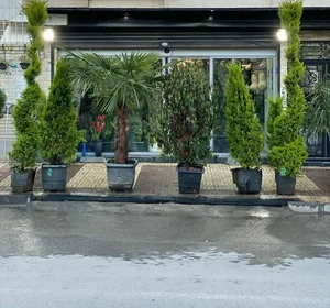گالری گلبرگ 2