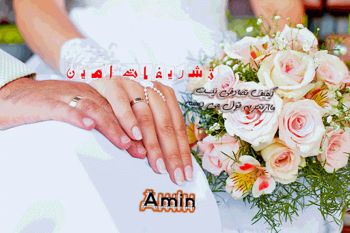 تشریفات امین اهواز
