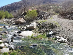 چشمه علی بن موسی الرضا ع