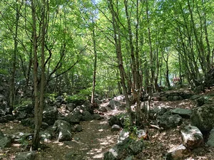 حمام کلیبر