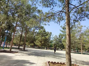 پارک جوان 4