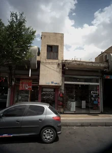 مرغ درخشان طیور تهران 2