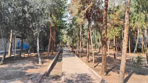 بوستان وحدت(جمهوری) 2